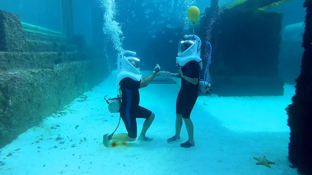 Hochzeitsantrag unter Wasser