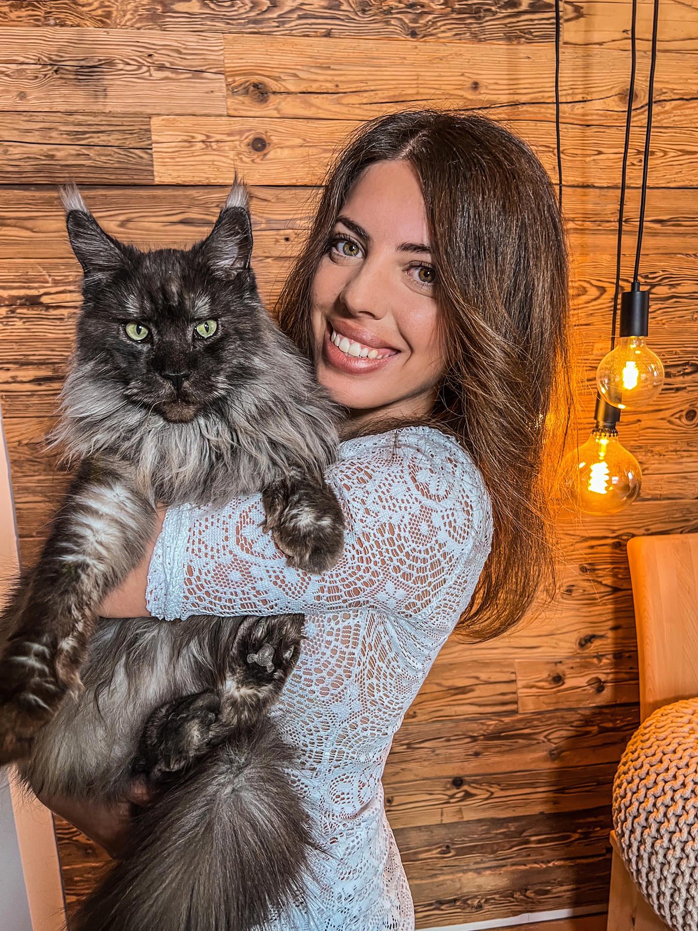Unsere Katze Chiu zu Hause