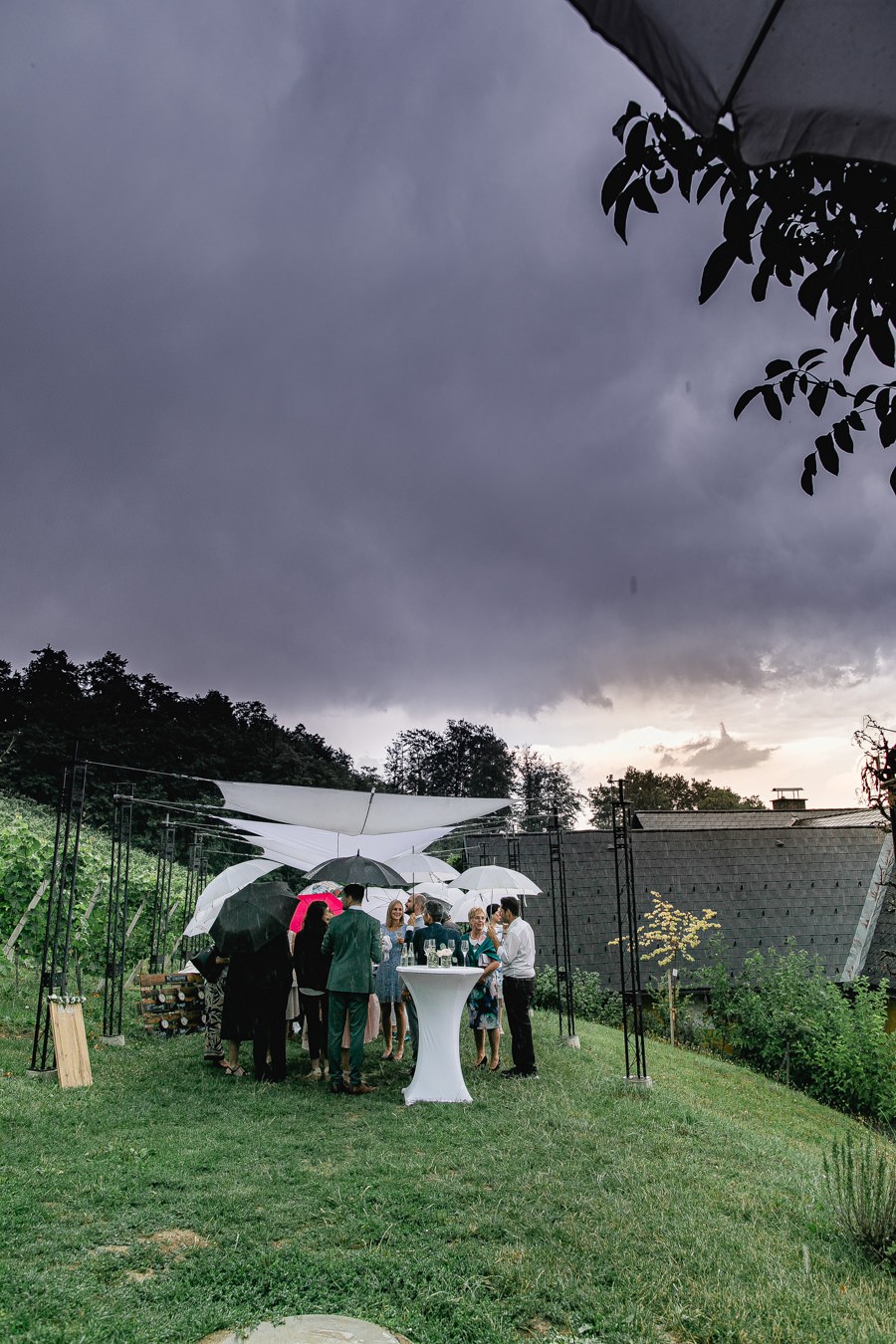 Heiraten beim Weingut Holler